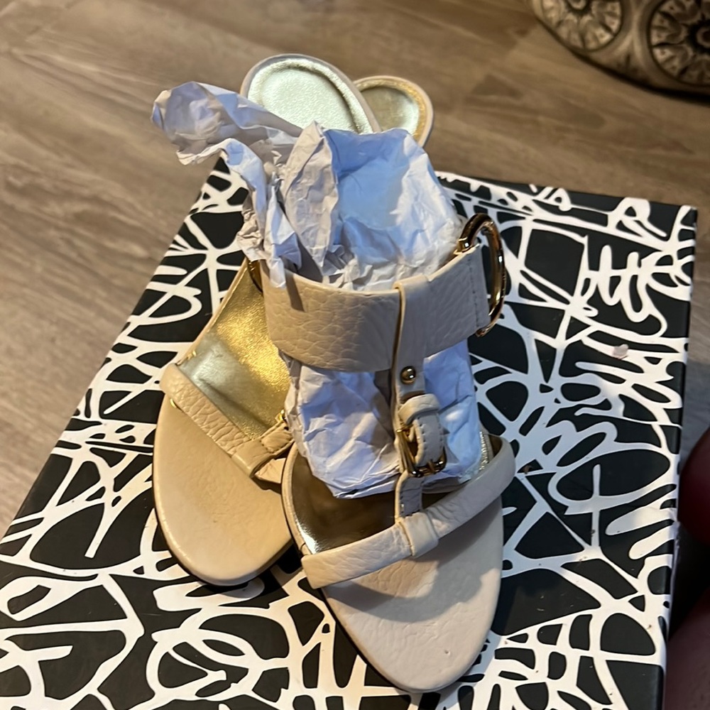 Dolce & Gabban